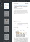 Using Proteomics to Compare the Molecular Structures of Sulfide and Permeate-Depilated Sheepskins