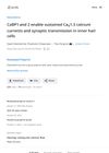 ELife Assessment: CaBP1 and 2 Enable Sustained CaV1.3 Calcium Currents and Synaptic Transmission in Inner Hair Cells