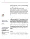 Beta-Caryophyllene Enhances Wound Healing Through Multiple Routes