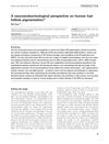 A Neuroendocrinological Perspective on Human Hair Follicle Pigmentation