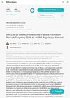 miR-29a-5p Inhibits Prenatal Hair Placode Formation Through Targeting EDAR by ceRNA Regulatory Network