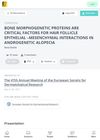 Bone Morphogenetic Proteins Are Critical Factors for Hair Follicle Epithelial-Mesenchymal Interactions in Androgenetic Alopecia
