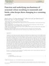 Function and Underlying Mechanisms of Seasonal Color Molting in Mammals and Birds: What Keeps Them Changing in a Warming World?