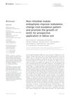 Non-Rhizobial Nodule Endophytes Improve Nodulation, Change Root Exudation Pattern and Promote the Growth of Lentil for Prospective Application in Fallow Soil