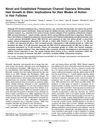 Novel and Established Potassium Channel Openers Stimulate Hair Growth In Vitro: Implications for Their Modes of Action in Hair Follicles
