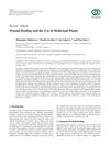 Wound Healing and the Use of Medicinal Plants