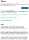 A Stretch-Responsive Fibroblast Program Promotes Epidermal Stem Cell Self-Renewal During Skin Expansion