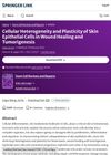Cellular Heterogeneity and Plasticity of Skin Epithelial Cells in Wound Healing and Tumorigenesis