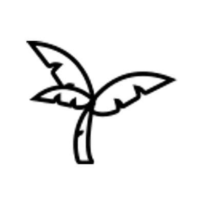 Alopecian Beauty Co