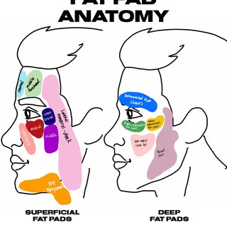 Facial fat pad illustration ✍️ you can see that the anatomy of the face is complex and that there ar