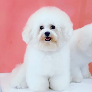 CIO - KUN