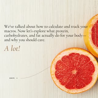 Collagen is a protein. Read that again.

Protein gives you amino acids, the building materials your 