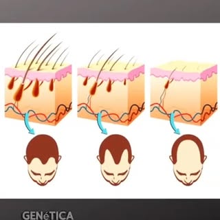 ✨ Tu cabello tiene una historia, y queremos ayudarte a escribir su siguiente capítulo.
Si has notado
