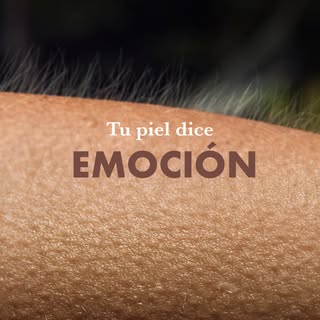 Tu piel te da continuamente mensajes; te habla, te dice cómo estás, te dice lo que necesitas. Tu pie