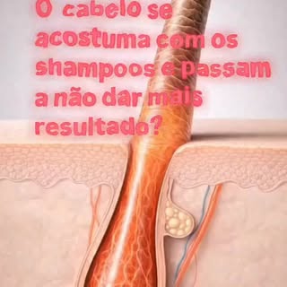 ✍🏻 Não é o cabelo que se acostuma é o contexto biológico que muda. Trocar de produto sem entender a