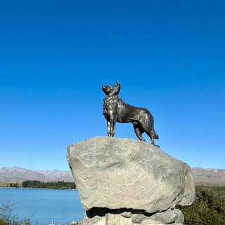 Lake Tekapo 🩵 ❤️ 🖤