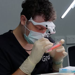 This is what concentration looks like.

Every graft examined, sorted, and prepared with precision be