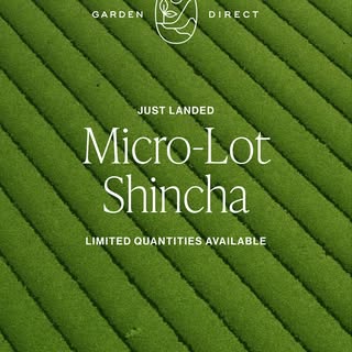 This year’s Garden Direct shincha collection traces Japan’s prized first flush from Kagoshima on the