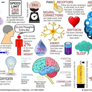 Amazing #brainfacts❤️