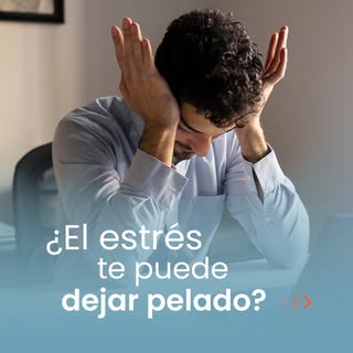 ¿El estrés crónico puede dejarte pelado? 
No exactamente, pero sí puede acelerar procesos.

El corti