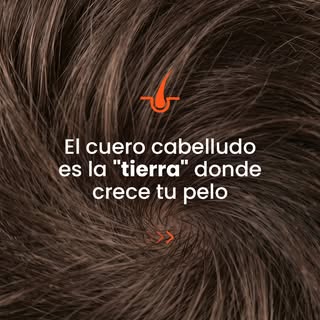 ¿Tu cuero cabelludo te da estas señales? 🚨

Picazón, grasa excesiva, caspa, dolor o enrojecimiento 