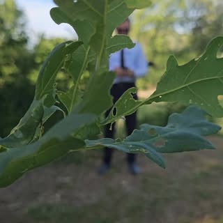 ​✨ Turismo Medico Albania, vieni a Tirana per proteggere la vostra bellezza naturale!
​👇 Chiedici i