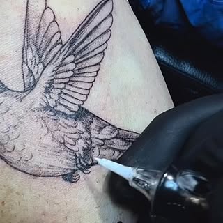 Memorial hummingbird tattoo for Sue.
Fine line work with soft shading and meaningful details.
your c