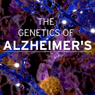 Does a family history of Alzheimer’s disease increase your risk of developing dementia? Watch and le