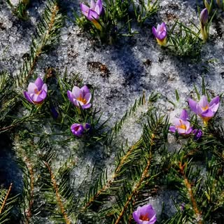 🍂 Así como la naturaleza vive en ciclos, tu cabello también atraviesa sus propias etapas:
🌱 En pri