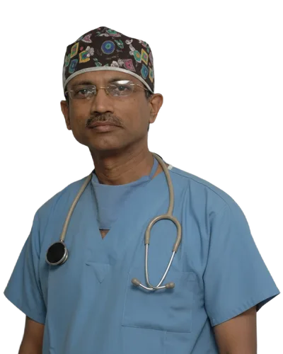 Bishan Mahadevia
