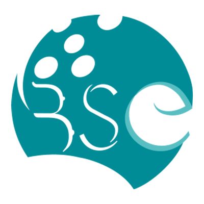 Brussels Surgical & Esthetic Center