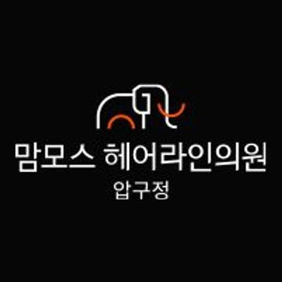 Apgujeong Mammoth Hair Line Clinic