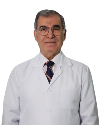 Mohammed Adib Batal