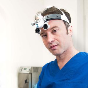 Dr. Žislav Markovina