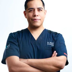 Dr. Alonso Villanes Borja