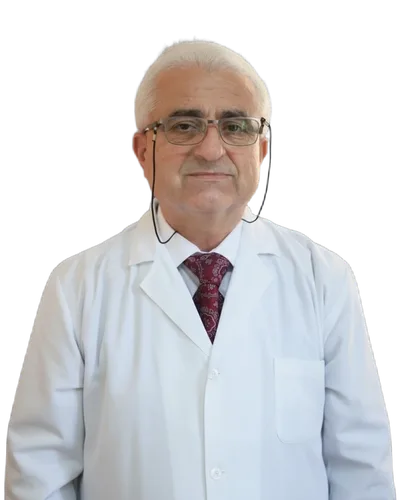 Dr. Ramadan Isufi
