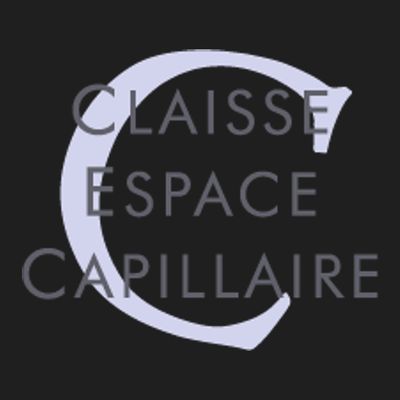 Claisse Espace Capillaire/Prothèses Capillaires/coiffeuse