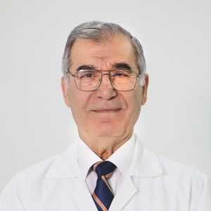Mohammed Adib Batal