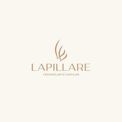 Lapillare