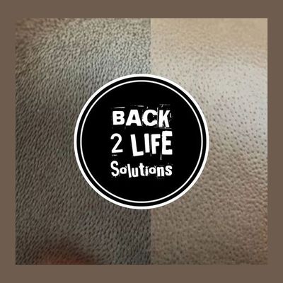 Back 2 Life SMP