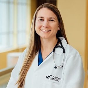 Dr. Daniela Engel