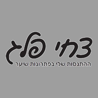 Tzachi Peleg - My Experience with Hair Solutions