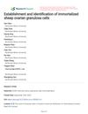 Establishment and Identification of Immortalized Sheep Ovarian Granulosa Cells