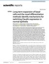 Long-Term Expansion of Basal Cells and Novel Differentiation Methods Identify Mechanisms for Switching Claudin Expression in Normal Epithelia