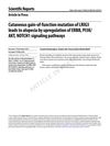 Cutaneous Gain-Of-Function Mutation Of LRIG3 Leads To Alopecia By Upregulation Of ERBB, PI3K/AKT, NOTCH1 Signaling Pathways