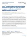 Shpro (Mixture of Angelica Gigas and Astragalus Membranaceus) in Men with Lower Urinary Tract Symptoms: A Randomized, Double-Blind, Placebo-Controlled Clinical Trial