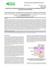Nanoparticle-Embedded Microneedles for Enhanced Transdermal Delivery: Advances and Applications