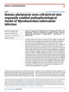 Human Pluripotent Stem Cell-Derived Skin Organoids Enabled Pathophysiological Model of Mycobacterium Tuberculosis Infection