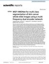MSF-VMDNet for Multi-Class Segmentation of Skin Cancer Whole Slide Images Using a Multi-Frequency Dual Encoder Network