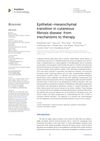 Epithelial–Mesenchymal Transition in Cutaneous Fibrosis Disease: From Mechanisms to Therapy